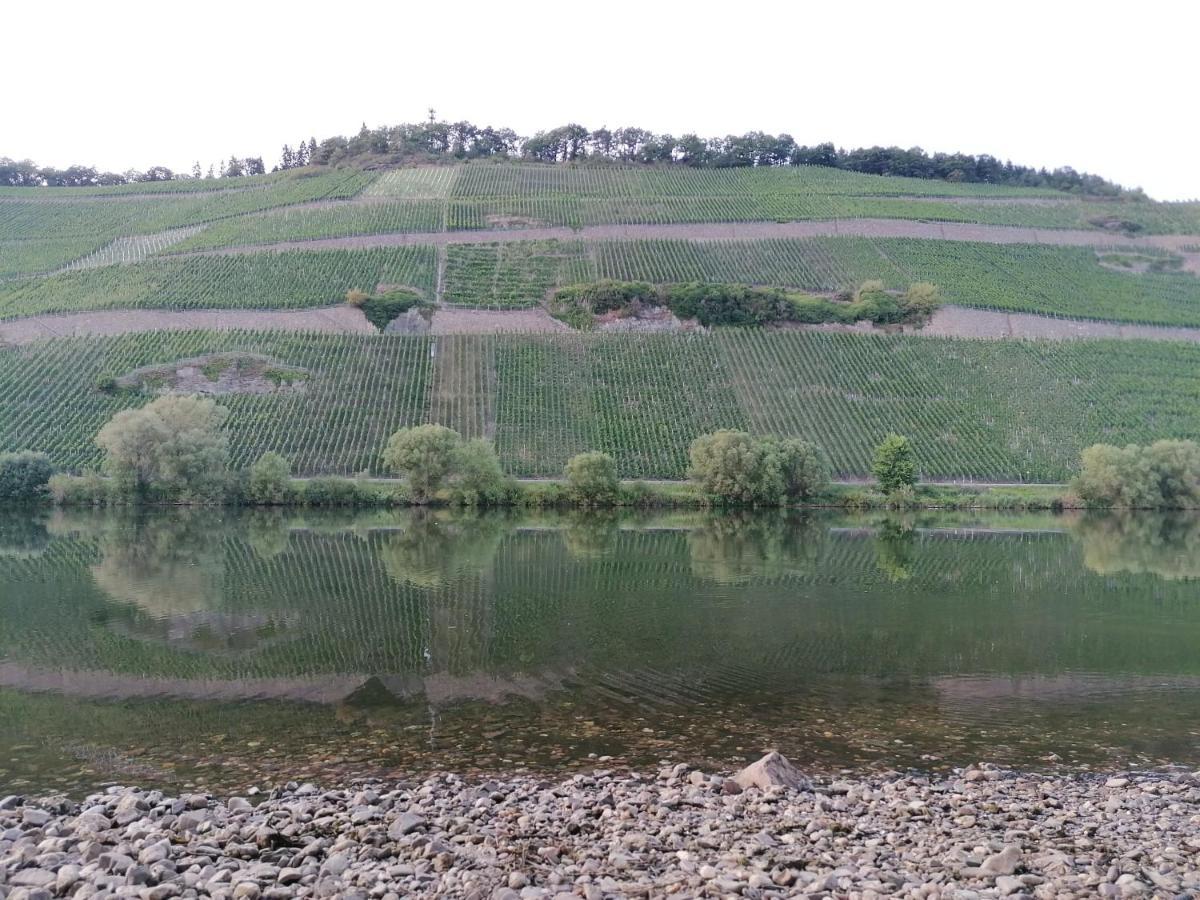 Fewo Sonnenlay - Apartments An Der Mosel Brauneberg Exterior foto