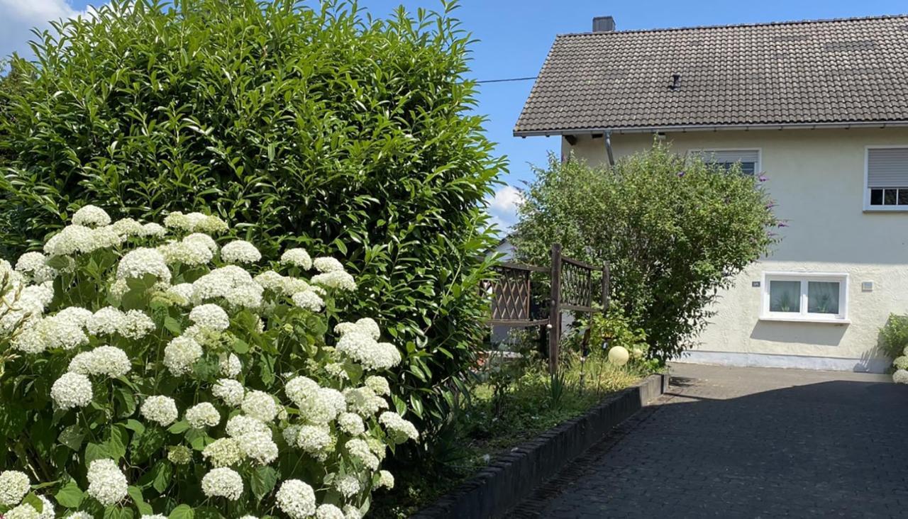 Fewo Sonnenlay - Apartments An Der Mosel Brauneberg Exterior foto